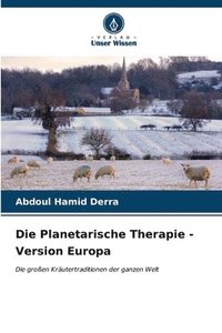 bokomslag Die Planetarische Therapie - Version Europa