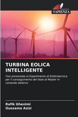 Turbina Eolica Intelligente 1