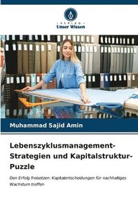bokomslag Lebenszyklusmanagement-Strategien und Kapitalstruktur-Puzzle