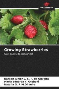 bokomslag Growing Strawberries