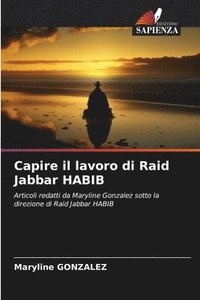 bokomslag Capire il lavoro di Raid Jabbar HABIB