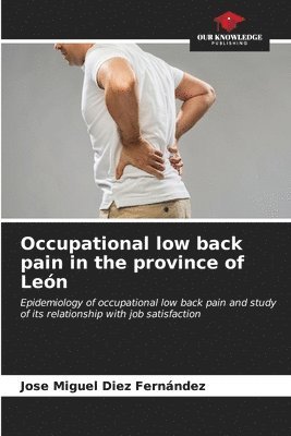 bokomslag Occupational low back pain in the province of Len