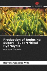bokomslag Production of Reducing Sugars - Supercritical Hydrolysis