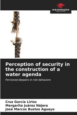 bokomslag Perception of security in the construction of a water agenda