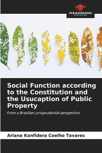 bokomslag Social Function according to the Constitution and the Usucaption of Public Property