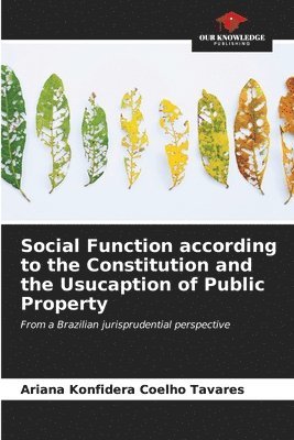 Social Function according to the Constitution and the Usucaption of Public Property 1