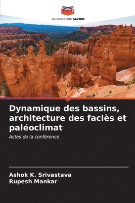 bokomslag Dynamique des bassins, architecture des facis et paloclimat