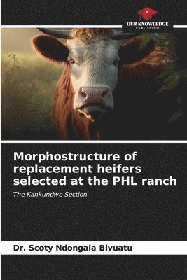 Morphostructure of replacement heifers selected at the PHL ranch 1