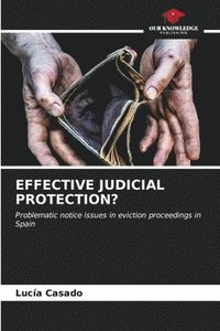 bokomslag Effective Judicial Protection?