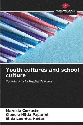 bokomslag Youth cultures and school culture