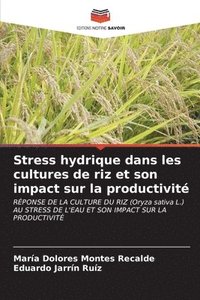 bokomslag Stress hydrique dans les cultures de riz et son impact sur la productivit