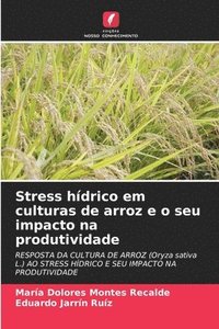 bokomslag Stress hdrico em culturas de arroz e o seu impacto na produtividade