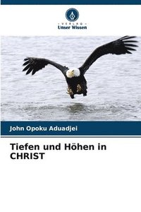 bokomslag Tiefen und Hhen in CHRIST