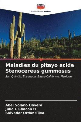Maladies du pitayo acide Stenocereus gummosus 1