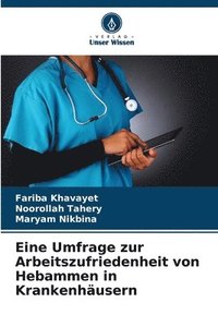 bokomslag Eine Umfrage zur Arbeitszufriedenheit von Hebammen in Krankenhusern