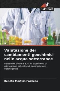 bokomslag Valutazione dei cambiamenti geochimici nelle acque sotterranee