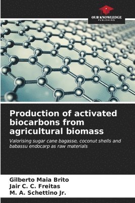 bokomslag Production of activated biocarbons from agricultural biomass
