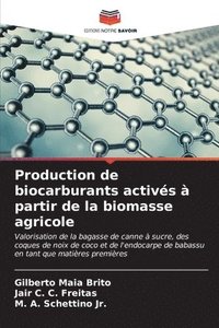 bokomslag Production de biocarburants activs  partir de la biomasse agricole
