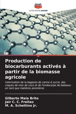 Gilberto Maia Brito, Jair C C Freitas, M A Schettino Jr, Jair C. C. Freitas, M. A. Schettino Jr. - Production de biocarburants activés à partir de la biomasse agricole, Häftad