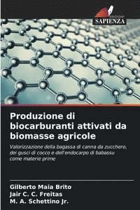 bokomslag Produzione di biocarburanti attivati da biomasse agricole