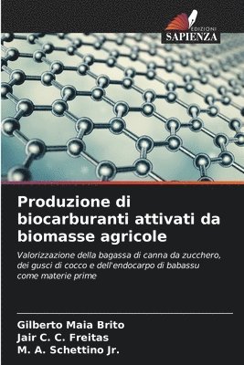 Produzione di biocarburanti attivati da biomasse agricole 1