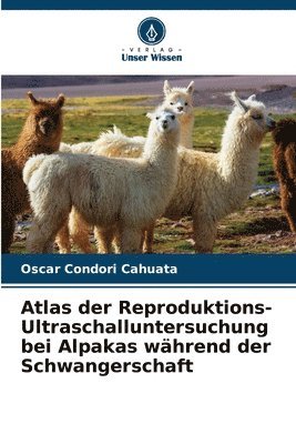 bokomslag Atlas der Reproduktions-Ultraschalluntersuchung bei Alpakas während der Schwangerschaft