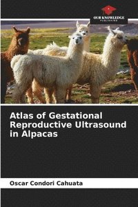 bokomslag Atlas of Gestational Reproductive Ultrasound in Alpacas