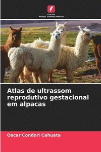 bokomslag Atlas de ultrassom reprodutivo gestacional em alpacas