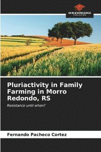 bokomslag Pluriactivity in Family Farming in Morro Redondo, RS