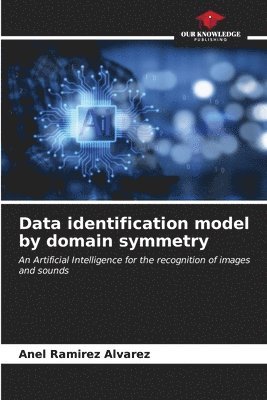 Data identification model by domain symmetry 1