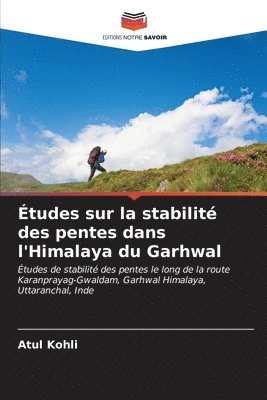 bokomslag tudes sur la stabilit des pentes dans l'Himalaya du Garhwal