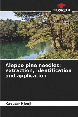Aleppo pine needles 1