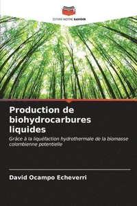 bokomslag Production de biohydrocarbures liquides
