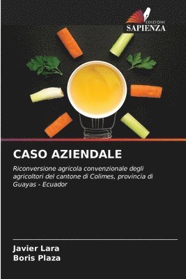 bokomslag Caso Aziendale