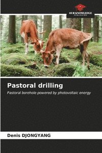 bokomslag Pastoral drilling