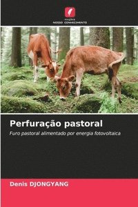 bokomslag Perfurao pastoral