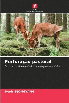 Perfurao pastoral 1