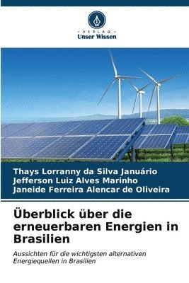berblick ber die erneuerbaren Energien in Brasilien 1