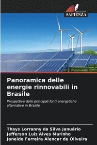 bokomslag Panoramica delle energie rinnovabili in Brasile