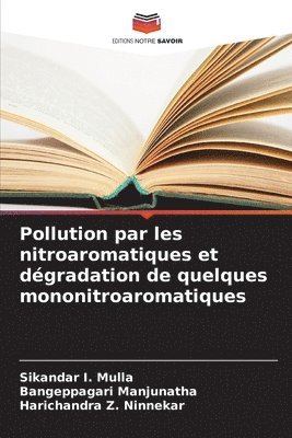 Pollution par les nitroaromatiques et dgradation de quelques mononitroaromatiques 1