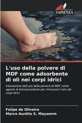 L'uso della polvere di MDF come adsorbente di oli nei corpi idrici 1