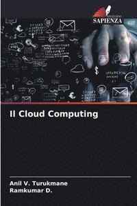 bokomslag Il Cloud Computing