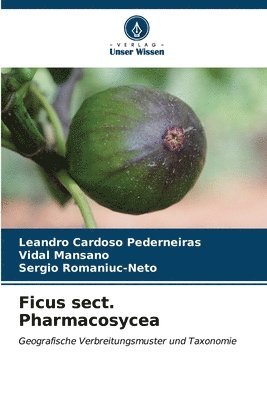 Ficus sect. Pharmacosycea 1