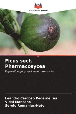 bokomslag Ficus sect. Pharmacosycea