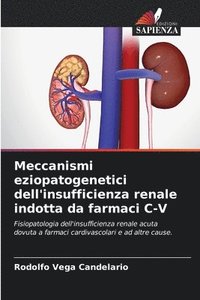 bokomslag Meccanismi eziopatogenetici dell'insufficienza renale indotta da farmaci C-V