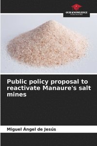 bokomslag Public policy proposal to reactivate Manaure's salt mines