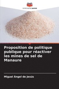 bokomslag Proposition de politique publique pour ractiver les mines de sel de Manaure