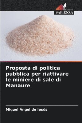 bokomslag Proposta di politica pubblica per riattivare le miniere di sale di Manaure