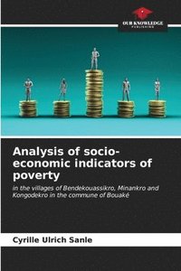 bokomslag Analysis of socio-economic indicators of poverty