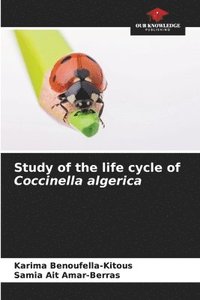 bokomslag Study of the life cycle of Coccinella algerica